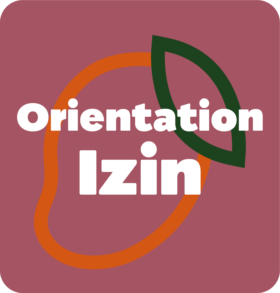 Mango Orientation